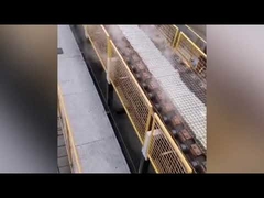 four à silicate de sodium par voie sèche / machine à fabriquer du silicate de sodium solide